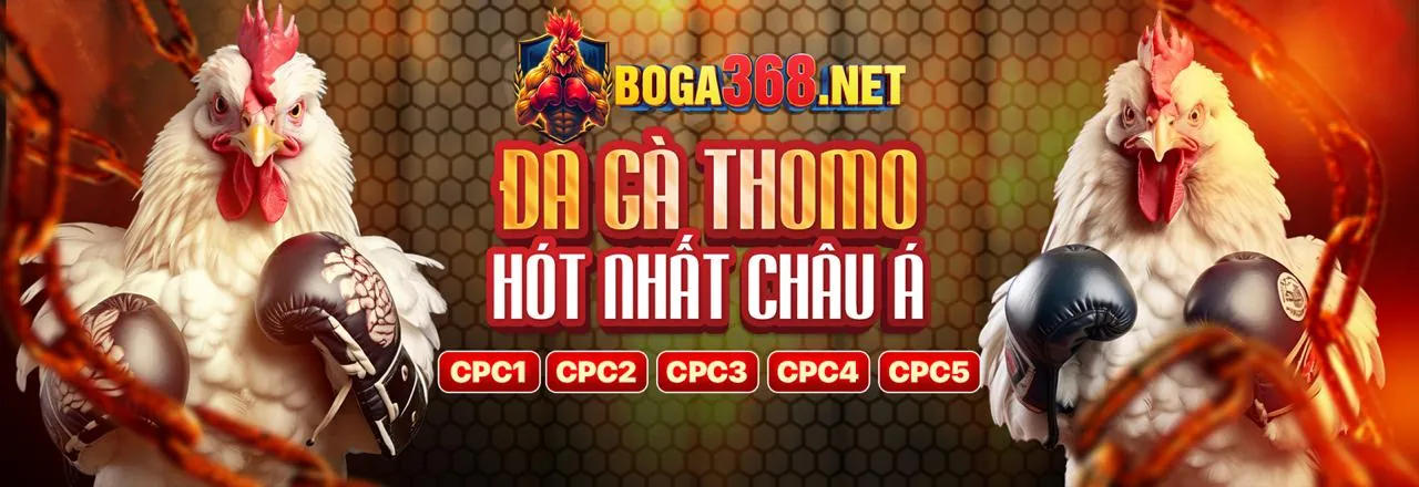 Các loại cookie khác nhau được vwin88 login sử dụng